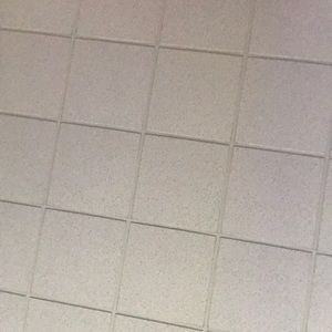 Meet your Posher, Ariana